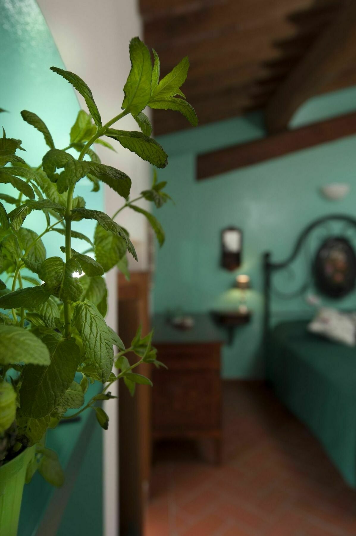 Antico Granaione Bed and Breakfast Rapolano Terme Exteriör bild