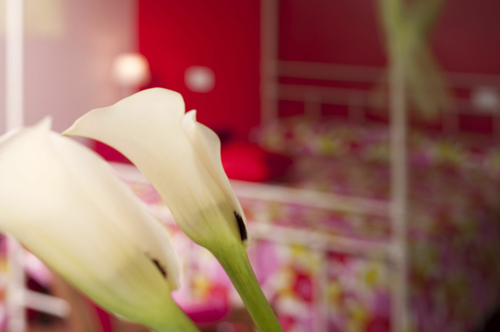 Antico Granaione Bed and Breakfast Rapolano Terme Exteriör bild